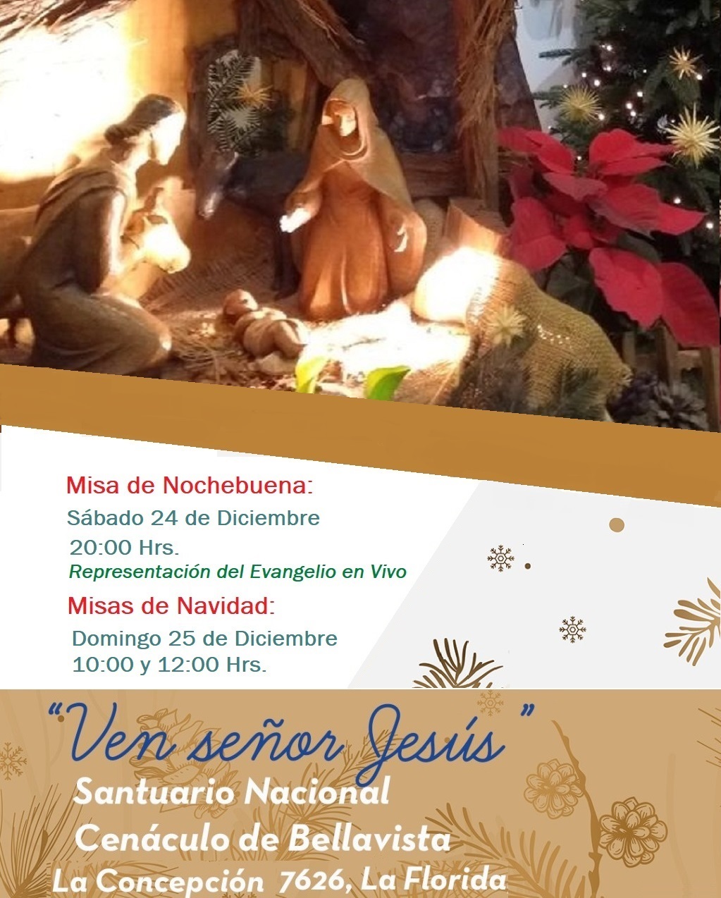 Imagen foto_00000026