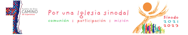 BANNER SÍNODO