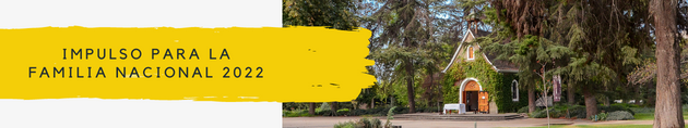 BANNER IMPULSO 2022