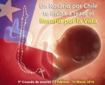 Comienza en Chile cruzada de oración contra el aborto a través de WhatsApp