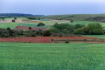 VOLVIENDO AL CAMPO- Jesús Ginés O.